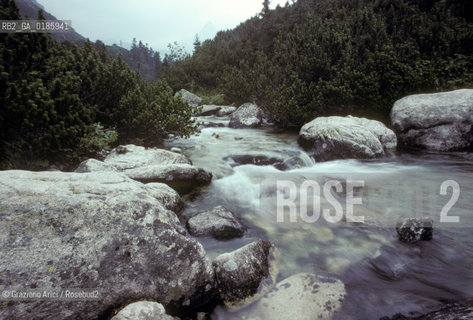 ( REPUBBLICA SLOVACCA  ) -  SLOVACCHIA  - TORRENTE SUI MONTI TATRA   - © 1986 Graziano Arici/Rosebud2 / GEO