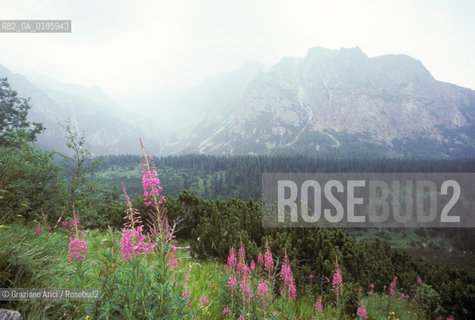 ( REPUBBLICA SLOVACCA  ) -  SLOVACCHIA  - PANORAMA SUI MONTI TATRA   - © 1986 Graziano Arici/Rosebud2 / GEO