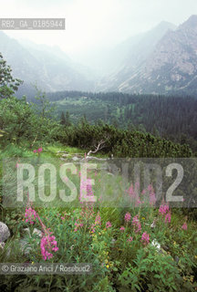 ( REPUBBLICA SLOVACCA  ) -  SLOVACCHIA  - PANORAMA SUI MONTI TATRA   - © 1986 Graziano Arici/Rosebud2 / GEO