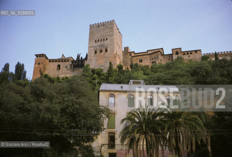 ( SPAGNA  ) ANDALUSIA  GRANADA  : IL PALAZZO DELLALHAMBRA   © 1990 Graziano Arici/Rosebud2 / GEO / ARCHITETTURA ARABO ANDALUSA