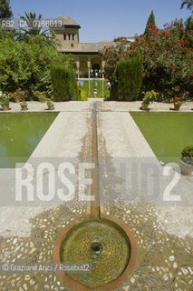 ( SPAGNA  ) ANDALUSIA  GRANADA  : IL PALAZZO DELLALHAMBRA   © 1990 Graziano Arici/Rosebud2 / GEO / ARCHITETTURA ARABO ANDALUSA