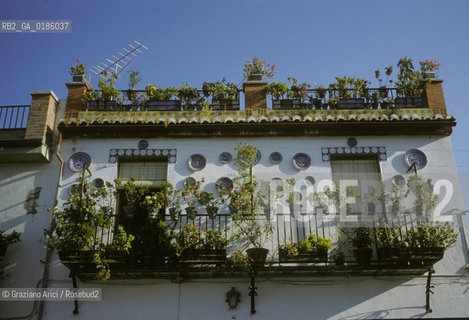 ( SPAGNA  ) ANDALUSIA  GRANADA  : FINESTRA FIORITA   © 1990 Graziano Arici/Rosebud2 / GEO