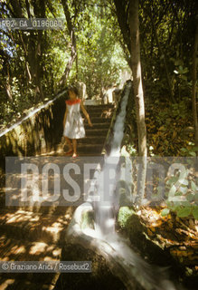 ( SPAGNA  ) ANDALUSIA  GRANADA  : IL PALAZZO DELLALHAMBRA I GIARDINI DEL GENERALIFE    © 1980 Graziano Arici/Rosebud2 / GEO / ARCHITETTURA ARABO ANDALUSA ACQUA FONTANA