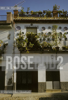 ( SPAGNA  ) ANDALUSIA  GRANADA  : QUARTIERE DELLALBAICIN    © 1980 Graziano Arici/Rosebud2 / GEO