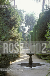 ( SPAGNA  ) ANDALUSIA  SIVIGLIA  : ALCAZAR GIARDINO    © 1980 Graziano Arici/Rosebud2 / GEO