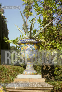 ( SPAGNA  ) ANDALUSIA  SIVIGLIA  : ALCAZAR GIARDINO    © 1980 Graziano Arici/Rosebud2 / GEO