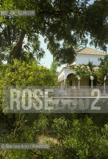 ( SPAGNA  ) ANDALUSIA  SIVIGLIA  : GIARDINI DEL PALAZZO DELLALCAZAR   © 1980 Graziano Arici/Rosebud2 / GEO ARCHITETTURA ARABO ANDALUSA