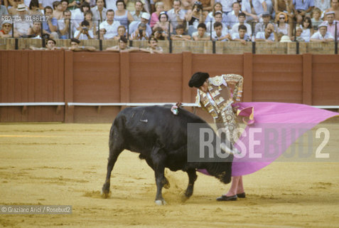 ( SPAGNA  ) ANDALUSIA  SIVIGLIA  : ARENA LA CORRIDA   © 1980 Graziano Arici/Rosebud2 / GEO