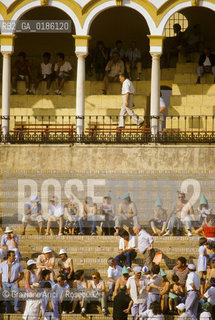 ( SPAGNA  ) ANDALUSIA  SIVIGLIA  : ARENA LA CORRIDA   © 1980 Graziano Arici/Rosebud2 / GEO