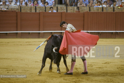 ( SPAGNA  ) ANDALUSIA  SIVIGLIA  : ARENA LA CORRIDA   © 1980 Graziano Arici/Rosebud2 / GEO