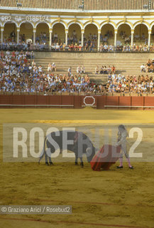 ( SPAGNA  ) ANDALUSIA  SIVIGLIA  : ARENA LA CORRIDA   © 1980 Graziano Arici/Rosebud2 / GEO