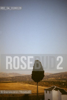 ( SPAGNA  ) ANDALUSIA  RONDA  : PANORAMA   © 1980 Graziano Arici/Rosebud2 / GEO