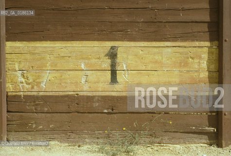 ( SPAGNA  ) ANDALUSIA  RONDA  : PLAZA DE TOROS ARENA   © 1980 Graziano Arici/Rosebud2 / GEO CORRIDA