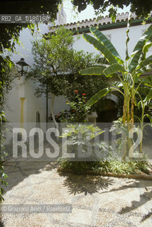 ( SPAGNA  ) ANDALUSIA  CORDOVA ( CORDOBA )  : UN PATIO   © 1980 Graziano Arici/Rosebud2 / GEO