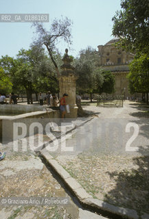 ( SPAGNA  ) ANDALUSIA  CORDOVA ( CORDOBA )  : MOSCHEA CATTEDRALE  PATIO DE LOSO ANARAJOS ( ARANCI )  © 1980 Graziano Arici/Rosebud2 / GEO ARCHITETTURA ARABO ANDALUSA.