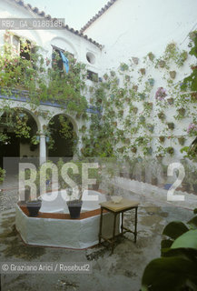 ( SPAGNA  ) ANDALUSIA  CORDOVA ( CORDOBA )  : PATIO   © 1980 Graziano Arici/Rosebud2 / GEO