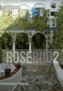 ( SPAGNA  ) ANDALUSIA  CORDOVA ( CORDOBA )  : PATIO   © 1980 Graziano Arici/Rosebud2 / GEO 0