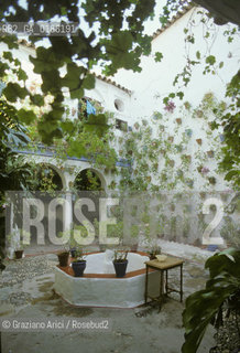 ( SPAGNA  ) ANDALUSIA  CORDOVA ( CORDOBA )  : PATIO  © 1980 Graziano Arici/Rosebud2 / GEO