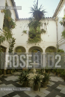 ( SPAGNA  ) ANDALUSIA  CORDOVA ( CORDOBA )  :  PATIO   © 1980 Graziano Arici/Rosebud2 / GEO