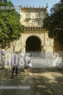 ( SPAGNA  ) ANDALUSIA  CORDOVA ( CORDOBA )  : MOSCHEA CATTEDRALE  PATIO DE LOSO ANARAJOS ( ARANCI )  © 1980 Graziano Arici/Rosebud2 / GEO ARCHITETTURA ARABO ANDALUSA