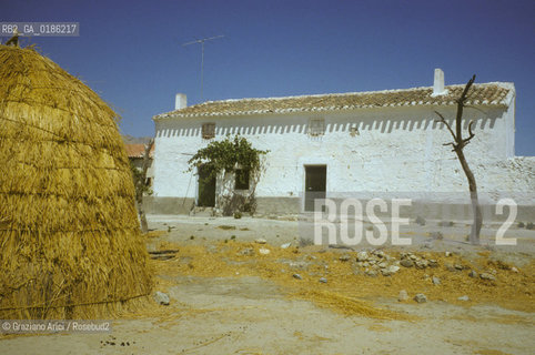 ( SPAGNA  ) ANDALUSIA  FATTORIA © 1980 Graziano Arici/Rosebud2 / GEO