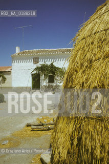 ( SPAGNA  ) ANDALUSIA  FATTORIA © 1980 Graziano Arici/Rosebud2 / GEO