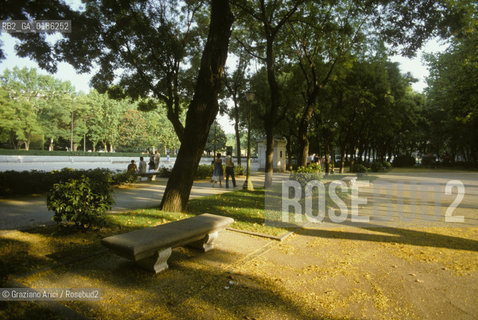 ( SPAGNA  ) CASTIGLIA MADRID : PASEO DEL PRADO  © 1980 Graziano Arici/Rosebud2 / GEO