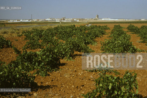 ( SPAGNA  ) MANCIA CAMPAGNA   © 1980 Graziano Arici/Rosebud2 / GEO
