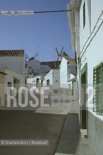 ( SPAGNA  ) MANCIA CAMPO DE CRIPTANA DOVE DON CHISCIOTTE SOSTENNE LA LOTTA CONTRO I MULINI A VENTO  © 1980 Graziano Arici/Rosebud2 / GEO LETTERATURA