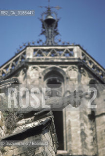 ( SPAGNA  ) CATALOGNA BARCELLONA : BARRIO GOTICO LA CATTEDRALE   © 1990 Graziano Arici/Rosebud2 / GEO UNICORNO