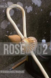 ( SPAGNA  ) GALIZIA SANTIAGO DE COMPOSTELA : BASTONE DA PELLEGRINO   © 2000 Graziano Arici/Rosebud2 / GEO CONCHIGLIA