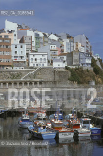 ( SPAGNA  ) GALIZIA : PORTO  © 2000 Graziano Arici/Rosebud2 / GEO