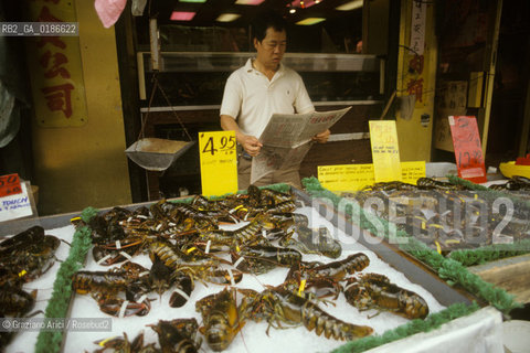 ( STATI UNITI DAMERICA - USA  ) NEW YORK CITY : CHINATOWN  - © 1986 Graziano Arici/Rosebud2 / GEO  / MERCATO