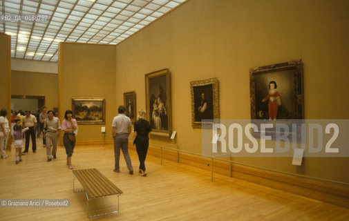 ( STATI UNITI DAMERICA - USA  ) NEW YORK CITY : IL METROPOLITAN MUSEUM - © 1986 Graziano Arici/Rosebud2 / GEO / MUSEO