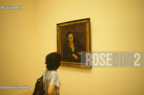 ( STATI UNITI DAMERICA - USA  ) NEW YORK CITY : IL METROPOLITAN MUSEUM - © 1986 Graziano Arici/Rosebud2 / GEO / MUSEO