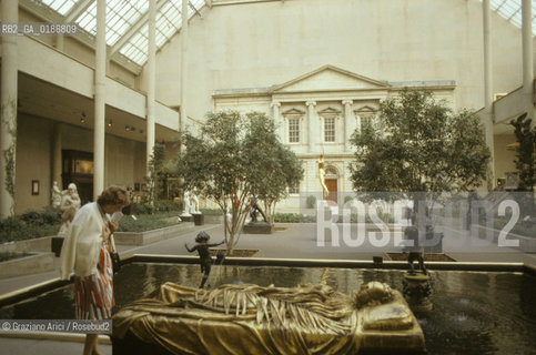 ( STATI UNITI DAMERICA - USA  ) NEW YORK CITY : IL METROPOLITAN MUSEUM - © 1986 Graziano Arici/Rosebud2 / GEO / MUSEO