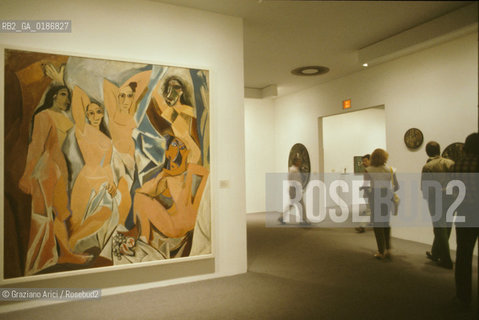 ( STATI UNITI DAMERICA - USA  ) NEW YORK CITY : THE MUSEUM OF MODERN ART ( MOMA ) - © 1986 Graziano Arici/Rosebud2 / GEO / MUSEO