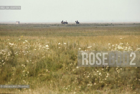( UNGHERIA  ) LA PUSZTA DI HORTOBAGY  © 2000 Graziano Arici/Rosebud2 / GEO