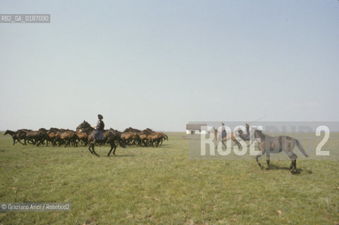 ( UNGHERIA  ) LA PUSZTA DI HORTOBAGY  ALLEVATORE CAVALIERE © 2000 Graziano Arici/Rosebud2 / GEO