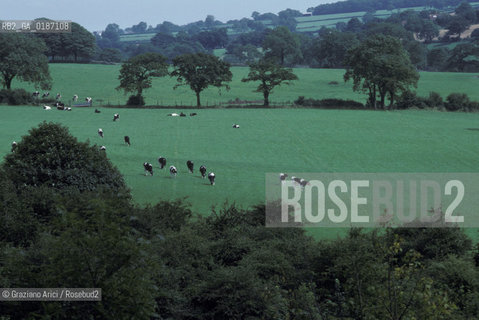 ( GRAN BRETAGNA  ) BATH : CAMPAGNA NELLAVON  © 1990 Graziano Arici/Rosebud2 / GEO / AVON