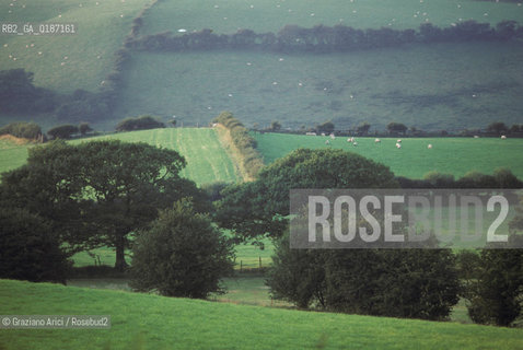 ( GRAN BRETAGNA  )  CAMPAGNA GALLESE  © 1990 Graziano Arici/Rosebud2 / GEO / GALLES