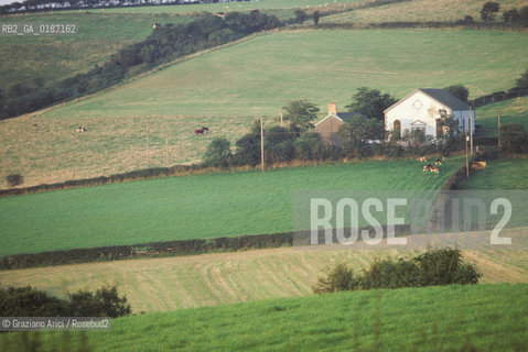 ( GRAN BRETAGNA  )  CAMPAGNA GALLESE  © 1990 Graziano Arici/Rosebud2 / GEO / GALLES