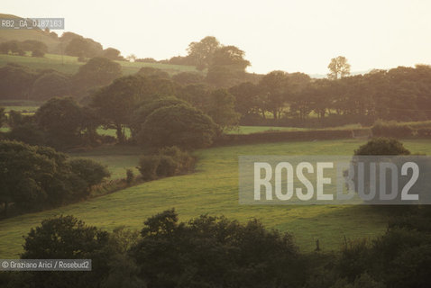 ( GRAN BRETAGNA  )  CAMPAGNA GALLESE  © 1990 Graziano Arici/Rosebud2 / GEO / GALLES