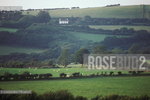 ( GRAN BRETAGNA  )  CAMPAGNA GALLESE  © 1990 Graziano Arici/Rosebud2 / GEO / GALLES
