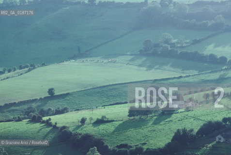 ( GRAN BRETAGNA  )  CAMPAGNA GALLESE  © 1990 Graziano Arici/Rosebud2 / GEO / GALLES