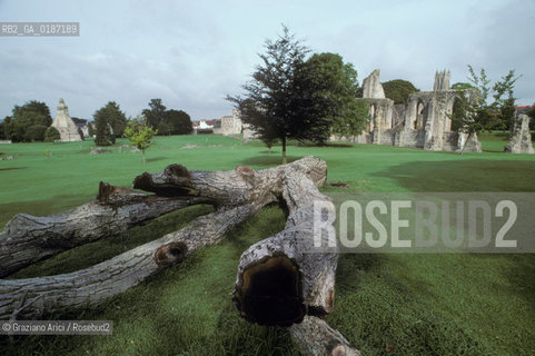 ( GRAN BRETAGNA  )  GLASTONBURY : ROVINE DELLA ABBAZIA  © 1990 Graziano Arici/Rosebud2 / GEO / SOMERSET / COPPA DEL SANTO GRAAL / RE ARTU / TAVOLA ROTONDA / CAMELOT / GINEVRA