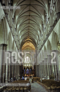 ( GRAN BRETAGNA  )  SALISBURY  : LA CATTEDRALE  © 1990 Graziano Arici/Rosebud2 / GEO / WILTSHIRE