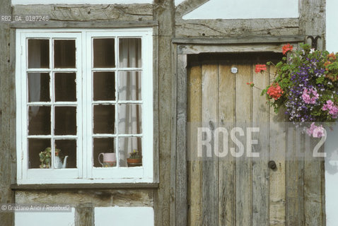 ( GRAN BRETAGNA  )  SALISBURY  : FINESTRA DI UN COTTAGE  © 1990 Graziano Arici/Rosebud2 / GEO / WILTSHIRE FIORE