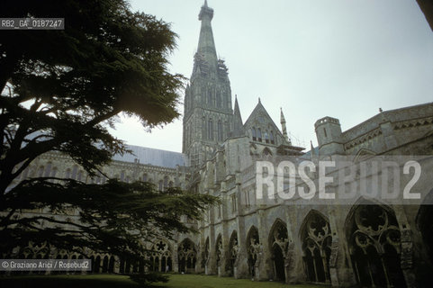 ( GRAN BRETAGNA  )  SALISBURY  : LA CATTEDRALE  © 1990 Graziano Arici/Rosebud2 / GEO / WILTSHIRE