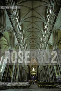 ( GRAN BRETAGNA  )  SALISBURY  : LA CATTEDRALE  © 1990 Graziano Arici/Rosebud2 / GEO / WILTSHIRE